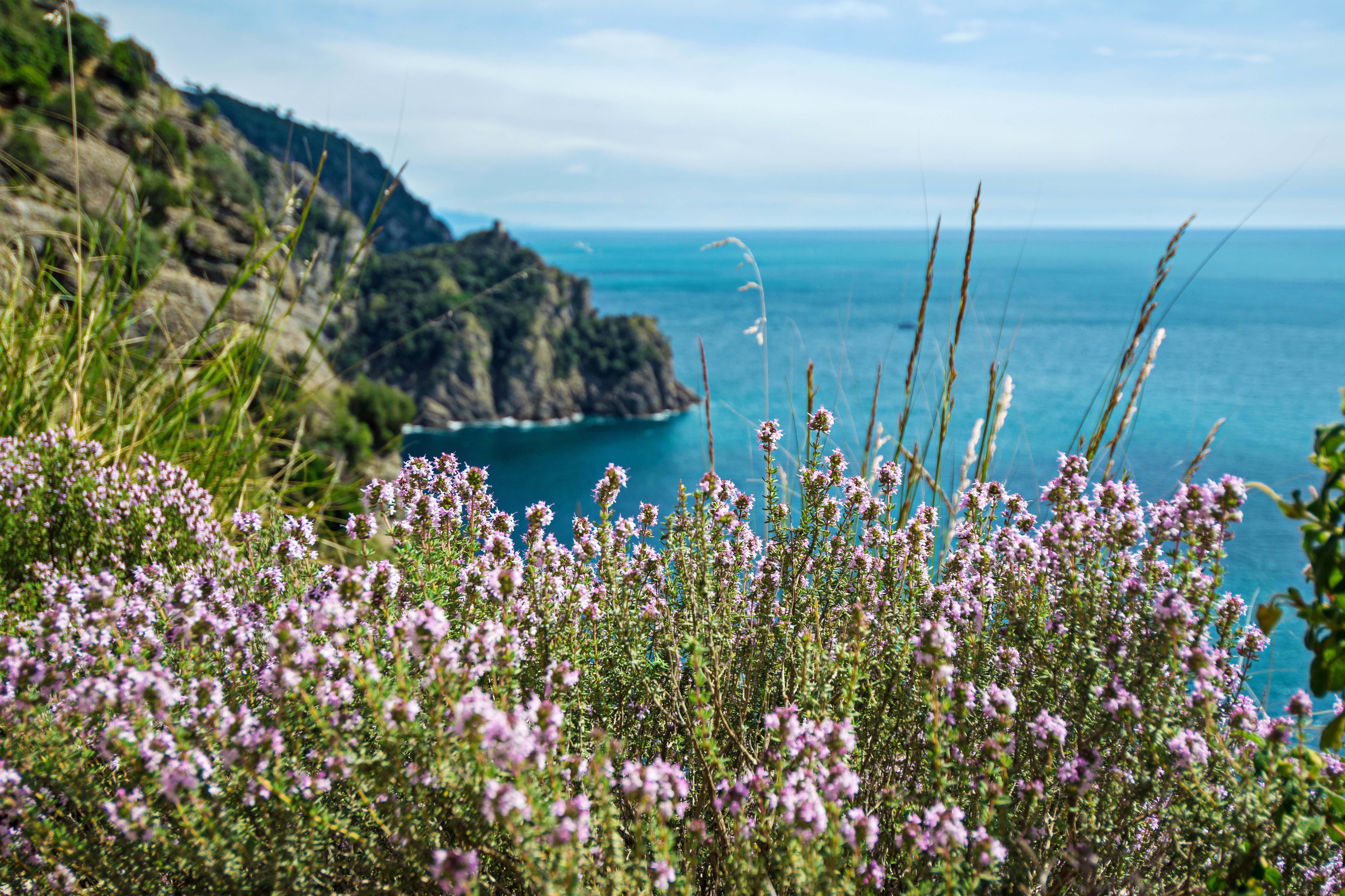 AdobeStock_299160820