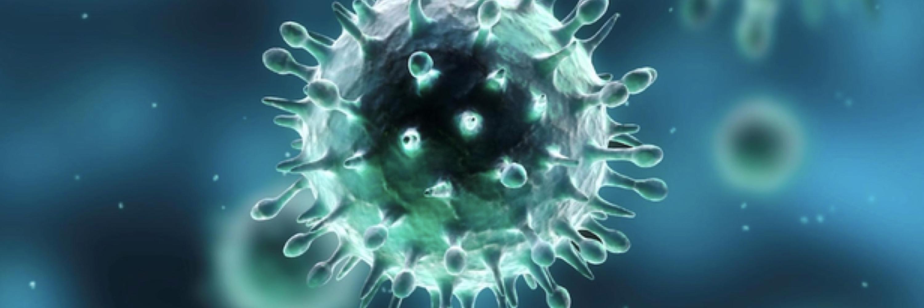 FBF_cover_blog_coronavirus.jpeg