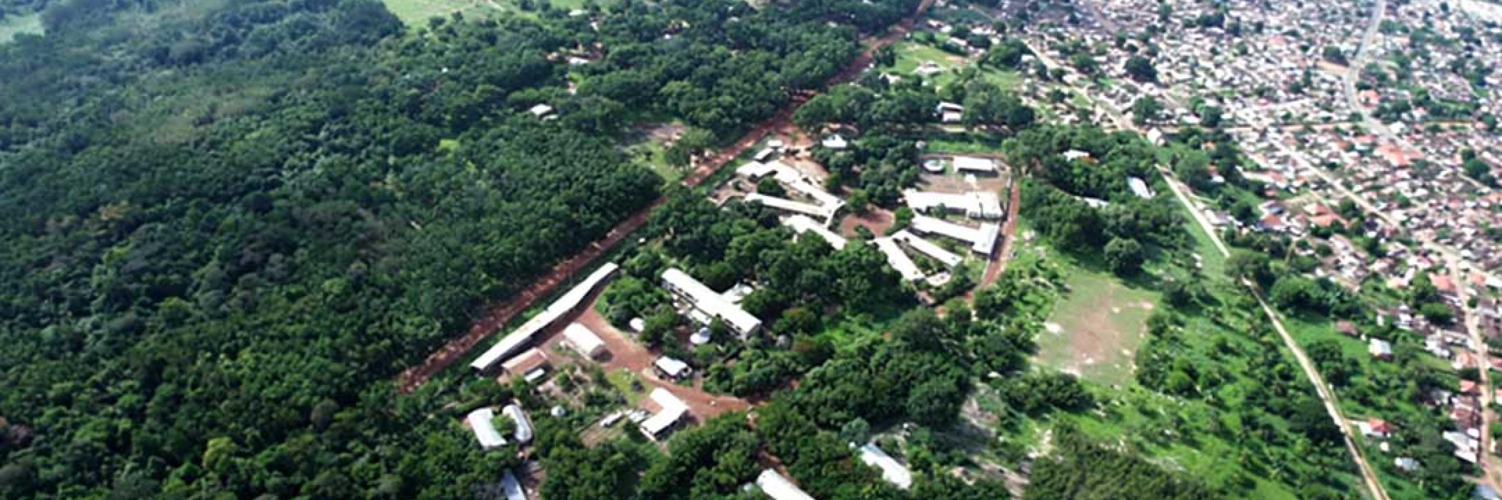 tanguieta-uta.jpg