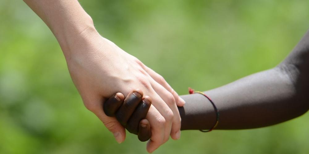 FBF_cover_articoli_130.jpg